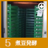 煮豆醗酵